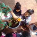 IMG-20190228-WA0079 - Copy