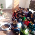 IMG-20190308-WA0062 - Copy