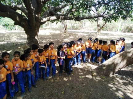 IMG-20190404-WA0016 - Copy