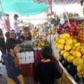 DSCN3740